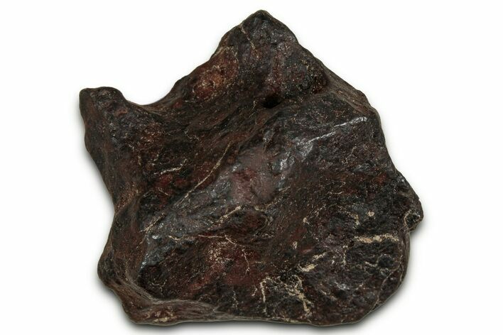Canyon Diablo Iron Meteorite ( g) - Arizona #356035